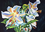 Luminous Lilies