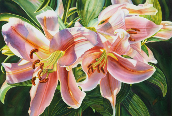 Stargazers